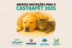 Governo Municipal abre inscrições para o CastraPet 2025 em Serranópolis do Iguaçu