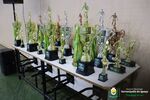 25º Campeonato Municipal de Futsal chega ao fim com grandes disputas em quatro categorias