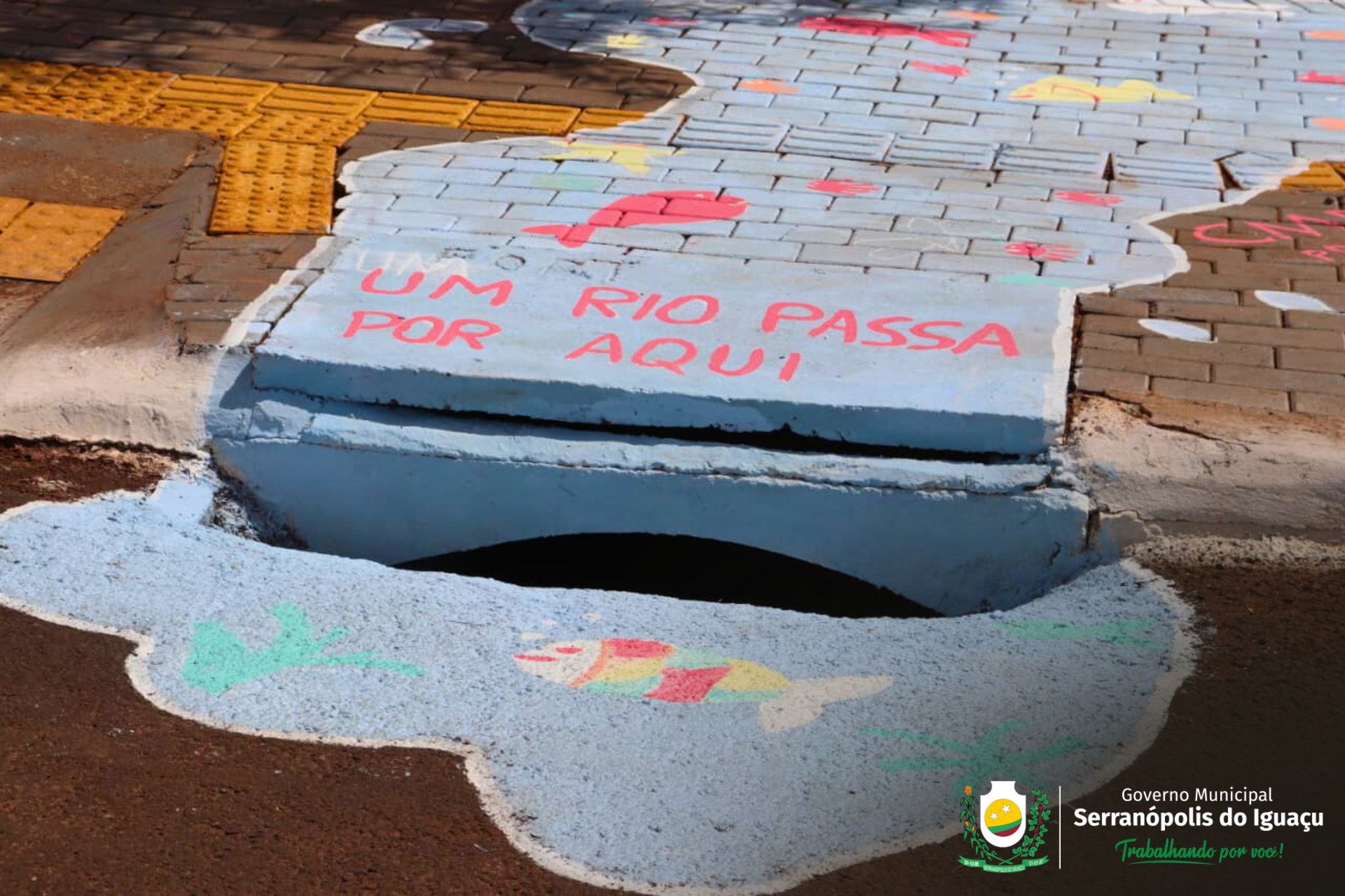 Fotos da ação Fotos da ação