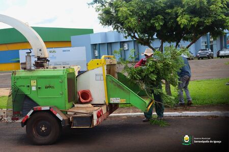 Recolha de galhos vai até dia 13