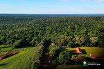 Dia Mundial do Meio Ambiente: Governo Municipal reforça ações de preservação e conscientização
