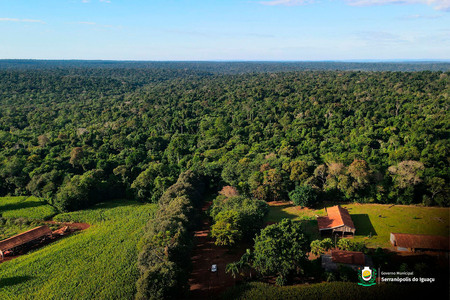Dia Mundial do Meio Ambiente: Governo Municipal reforça ações de preservação e conscientização Dia Mundial do Meio Ambiente: Governo Municipal reforça ações de preservação e conscientização